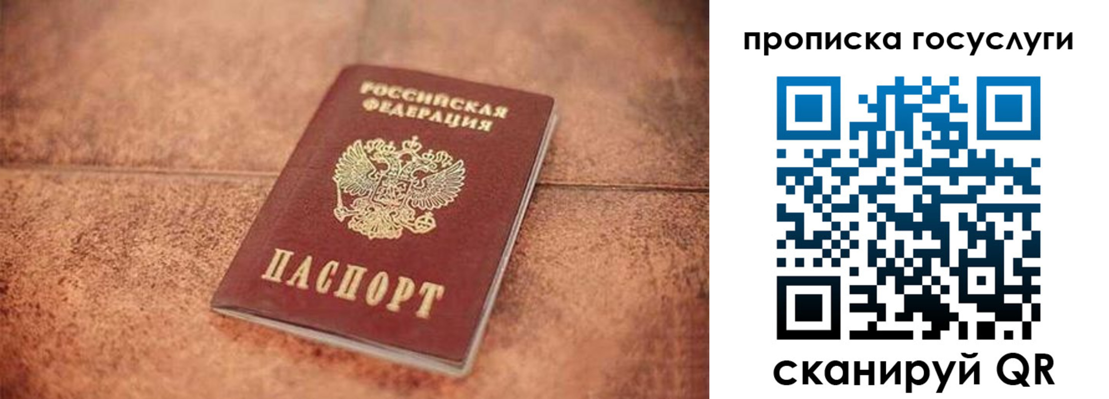 прописка законно в Московской области